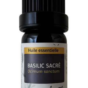 HE Basilic sacré