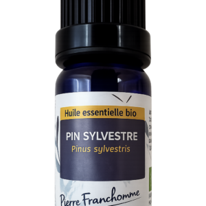 HE Pin Sylvestre bio