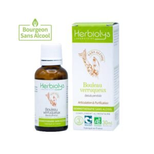 Bouleau verruqueux bourgeon Bio - Gemmothérapie sans alcool Herbiolys