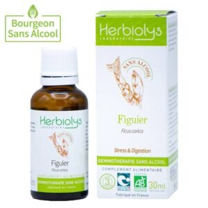 Figuier bourgeon Bio - Gemmothérapie sans alcool Herbiolys