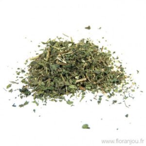 Ortie piquante - partie aérienne coupée Phytofrance